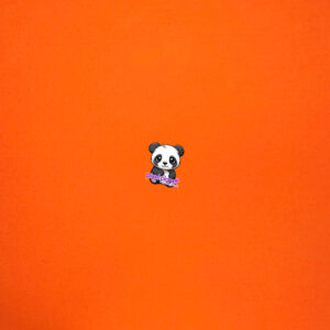 Cardstock (Asst) - Image 17