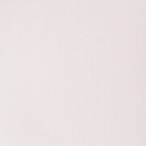 Cardstock (Asst) - Image 19